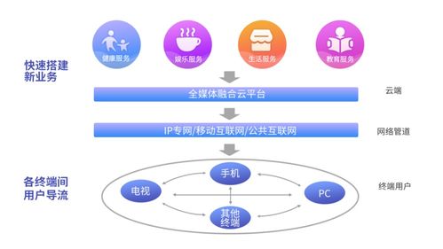 專訪新媒股份王兵 用互聯網技術打造新媒體的未來生態